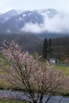 Фото Тайлер Ричардсон