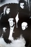 Фото Dead or Alive