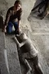 Фото Хезер Бонни