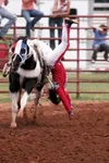 Фото Haley Ganzel
