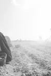 Фото Марита Бройер