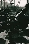 Фото Пол Мэйбаум