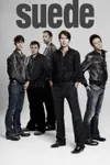 Фото Suede