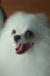 Фото Мунчхи
