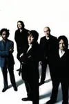 Фото Elbow