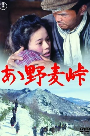 Постер к фильму Перевал Номуги (1979)
