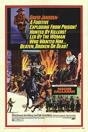 Постер к фильму Мачо Каллахан (1970)