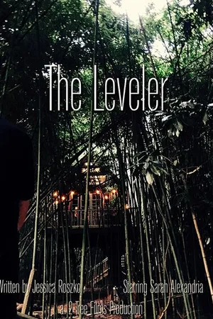 Постер к фильму The Leveler (-)