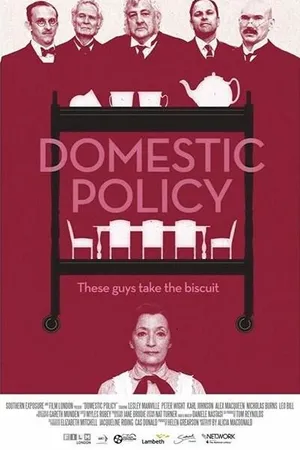 Постер к фильму Domestic Policy (2016)
