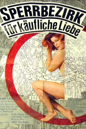 Постер к фильму Граница области (1966)
