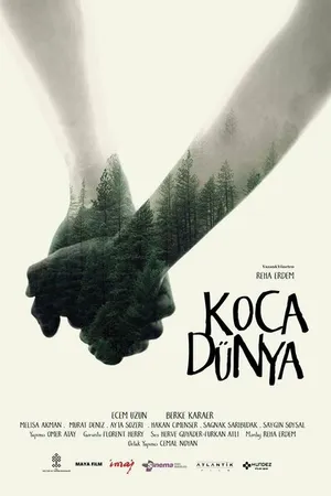 Постер к фильму Огромный мир (2016)