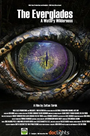Постер к фильму Эверглейдс — водяная глушь (2015)