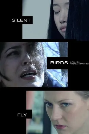 Постер к фильму Migrant Birds Fly (-)