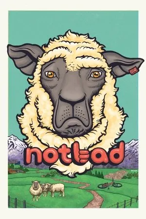 Постер к фильму NotBad (2013)