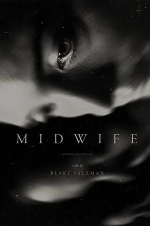 Постер к фильму Midwife (2017)