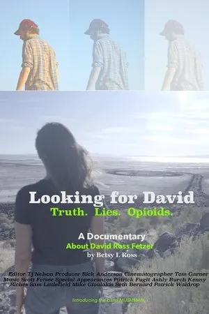 Постер к фильму Looking for David (2017)