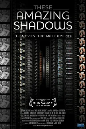 Постер к фильму Эти удивительные тени (2011)