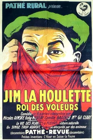 Постер к фильму Jim la houlette, roi des voleurs (1926)