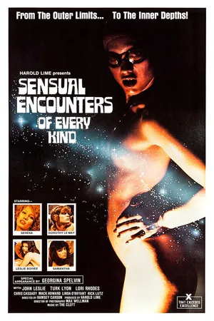Постер к фильму Sensual Encounters of Every Kind (1978)