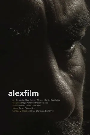 Постер к фильму Алексфильм (2015)