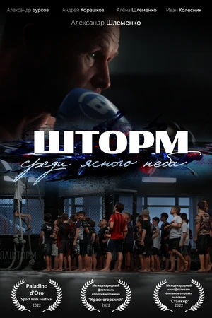 Постер к фильму «Шторм» среди ясного неба (2021)