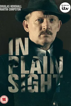Постер к сериалу На виду (2016)