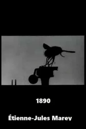 Постер к фильму Комнатная муха (1890)