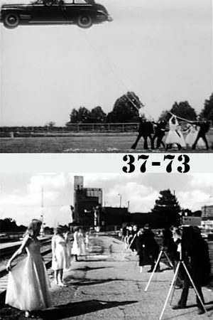 Постер к фильму 37-73 (1974)