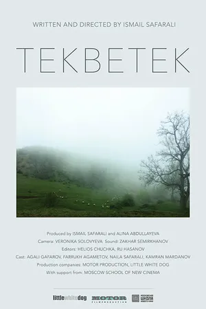 Постер к фильму Tekbetek (2014)