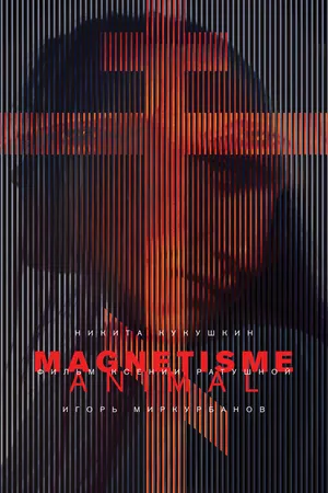 Постер к фильму Магнетизм (2016)