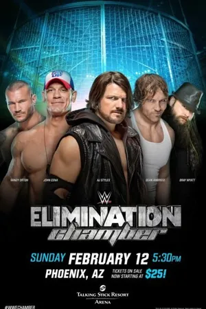 Постер к фильму WWE Камера ликвидации (2017)