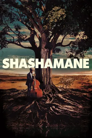 Постер к фильму Shashamane (2016)