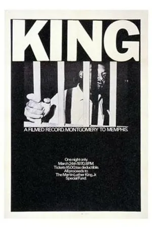 Постер к фильму Из Монтгомери в Мемфис (1969)