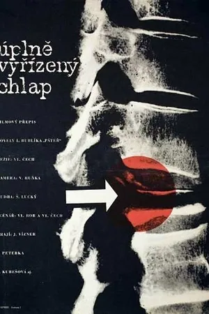Постер к фильму Úplne vyrízený chlap (1965)