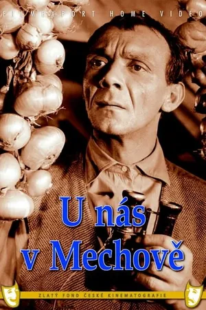 Постер к фильму У нас в Мехове (1960)