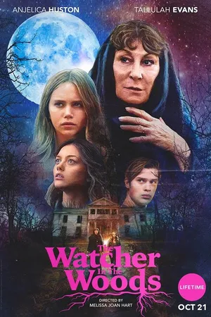 Постер к фильму Лесной наблюдатель (2017)