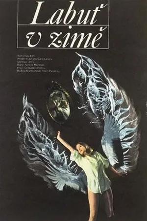 Постер к фильму Лебедь зимой (1983)