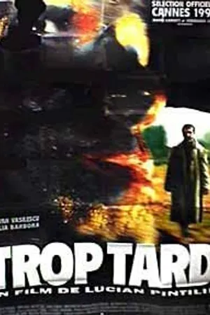 Постер к фильму Слишком поздно (1996)