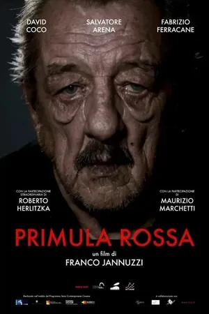 Постер к фильму Primula Rossa (2018)