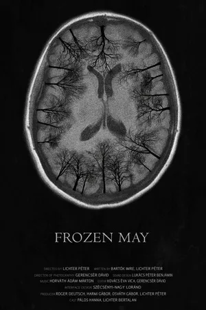 Постер к фильму Морозный май (2017)