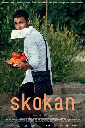 Постер к фильму Skokan (2017)