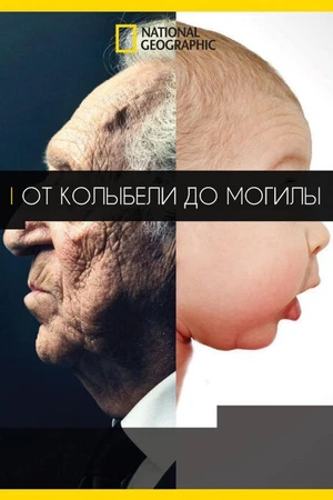 Постер к фильму От колыбели до могилы (2016)