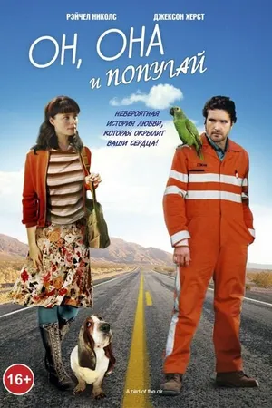 Постер к фильму Он, она и попугай (2011)