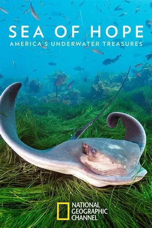 Постер к фильму Sea of Hope: America's Underwater Treasures (2017)