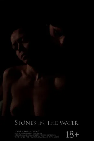 Постер к фильму Камни в воде (2016)