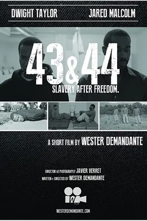 Постер к фильму 43 & 44 (2017)