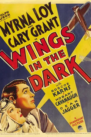 Постер к фильму Крылья во тьме (1935)