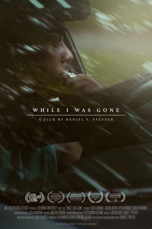 Постер к фильму While I Was Gone (2017)