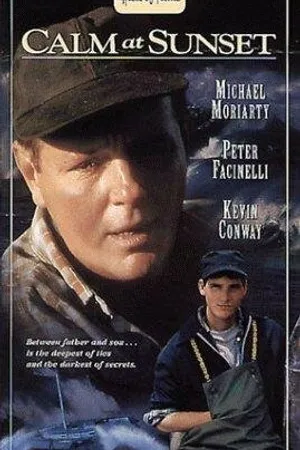Постер к фильму После бури (1996)