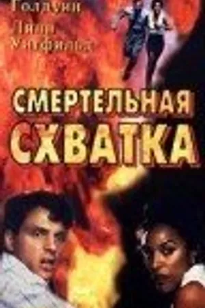 Постер к фильму Смертельная схватка (1993)
